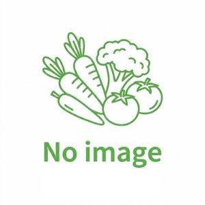 国産れんこんチップス のり塩味